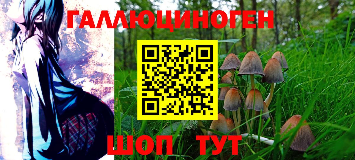 Псилоцибиновые грибы Magic Shrooms  Псилоцибиновые грибы ЛСД  Вход с VPN  Холмск 