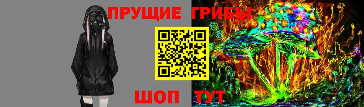Галлюциногенные грибы Psilocybine cubensis Холмск